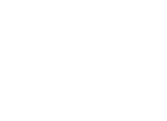 core web vitals